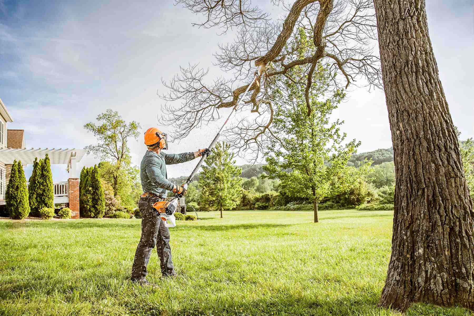 Arborial Solutions: Tree Removal Expertise – A Comprehensive Guide