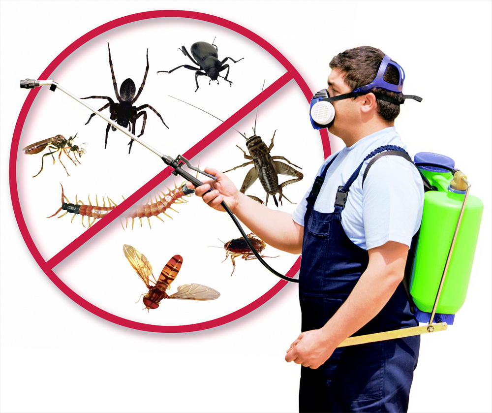How often should I schedule pest control services?