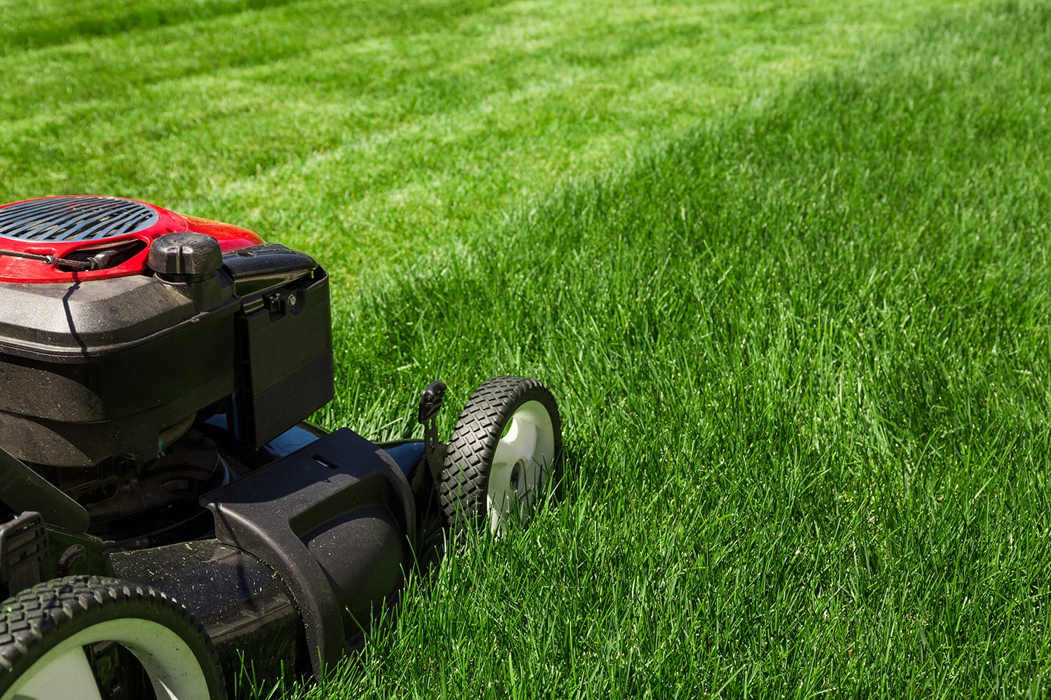 Eco-Friendly Lawn Care Tips for a Greener Tomorrow