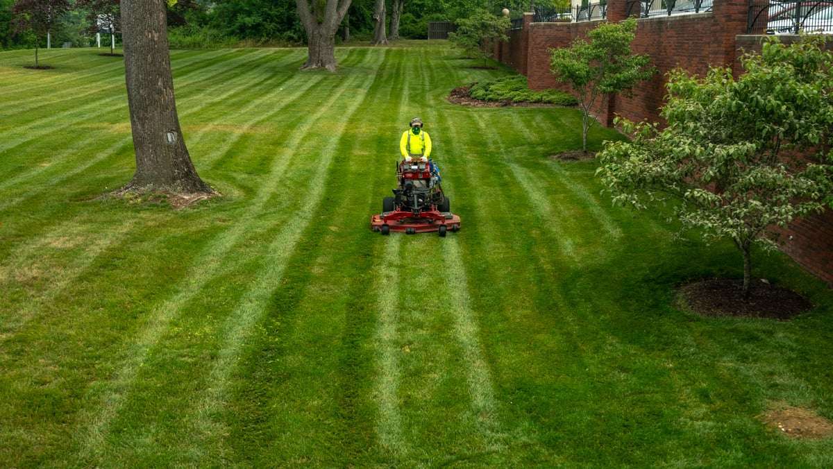 lawn care